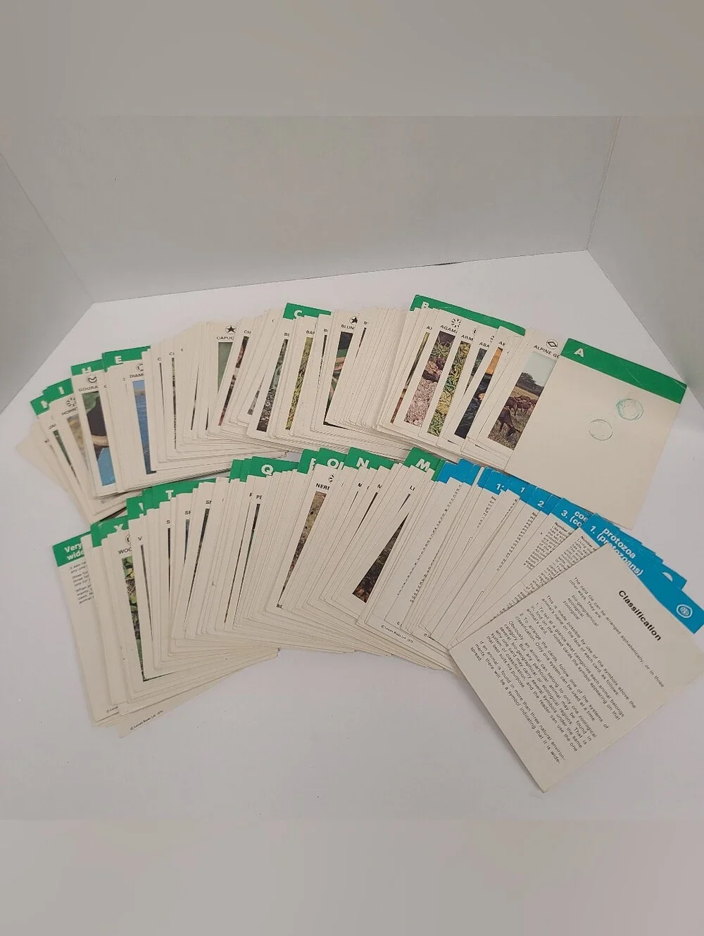 Vintage 1975 Illustrated Wildlife Treasury Plastic Box Animal Info Cards